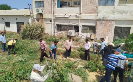 مديرية الزراعة بشمال سيناء توقع بروتوكول مشترك مع مديرية الصحة