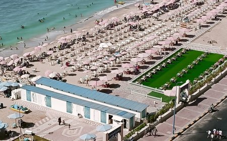 الإسكندرية تواصل التألق في موسم صيفي استثنائي.. إشادات متواصلة بجهود الإدارة المركزية للسياحة والشواطئ