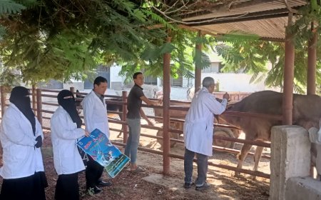 محافظ كفرالشيخ يعلن انطلاق الحملة القومية للتحصين ضد فيروس الحمى القلاعية( العترة SAT1) بجميع قرى ومراكز المحافظة