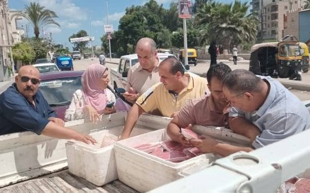 ضبط لحوم ورنجة مجهولة المصدر في كفرالشيخ 