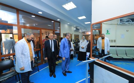 رئيس جامعة كفر الشيخ يستقبل لجنة المجلس الأعلى للجامعات المختصة بتقييم جاهزية كليات الجامعة الأهلية