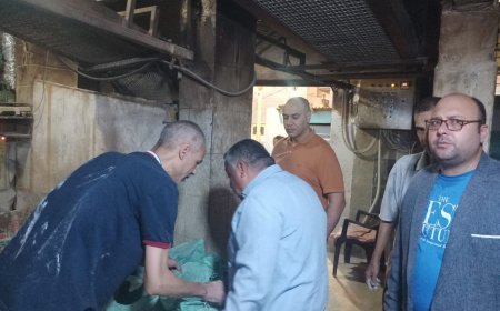  محافظ كفر الشيخ يوجه بحملة رقابية مكبرة على المخابز بقلين: ضبط 600 كجم دقيق مدعم و29 مخالفة في يوم واحد