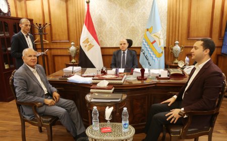 إنجازات محافظة كفرالشيخ بقطاع الكهرباء في عام