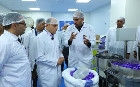 محافظ كفرالشيخ يتفقد عددًا من المصانع بالمنطقة الصناعية بمطوبس