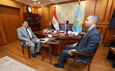 محافظ كفرالشيخ: دعم المشروعات الصغيرة قاطرة التنمية