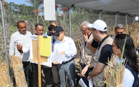 محافظ كفرالشيخ يفتتح أول مشتل نخيل مجتمعي بأبو شعلان