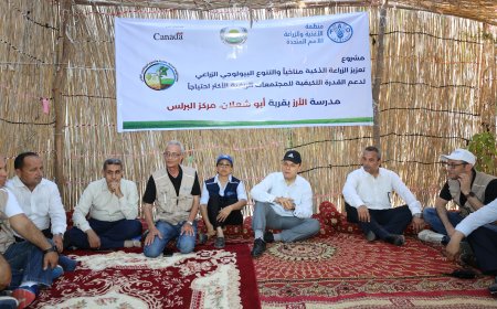 محافظ كفرالشيخ يتفقد تجربة زراعة الأرز "الجاف" بمدرسة الأرز الحقلية بأبو شعلان