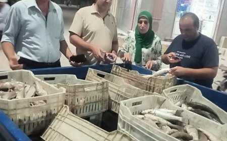 ضبط 400 كيلو أسماك غير صالحة للاستهلاك الآدمي بمطوبس