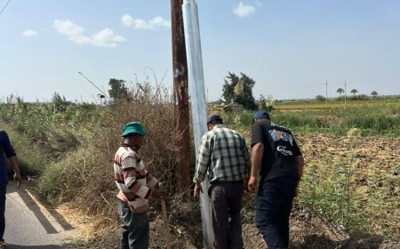 محافظ كفرالشيخ يوجه بتركيب 15 عمود كهرباء جديد بطريق الخاشعة - بلطيم