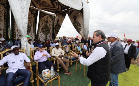 محافظ كفرالشيخ ووزراء ونواب وزراء الزراعة الأفارقة يشهدون فعاليات ملتقى التعاون الزراعي الإفريقي 2025