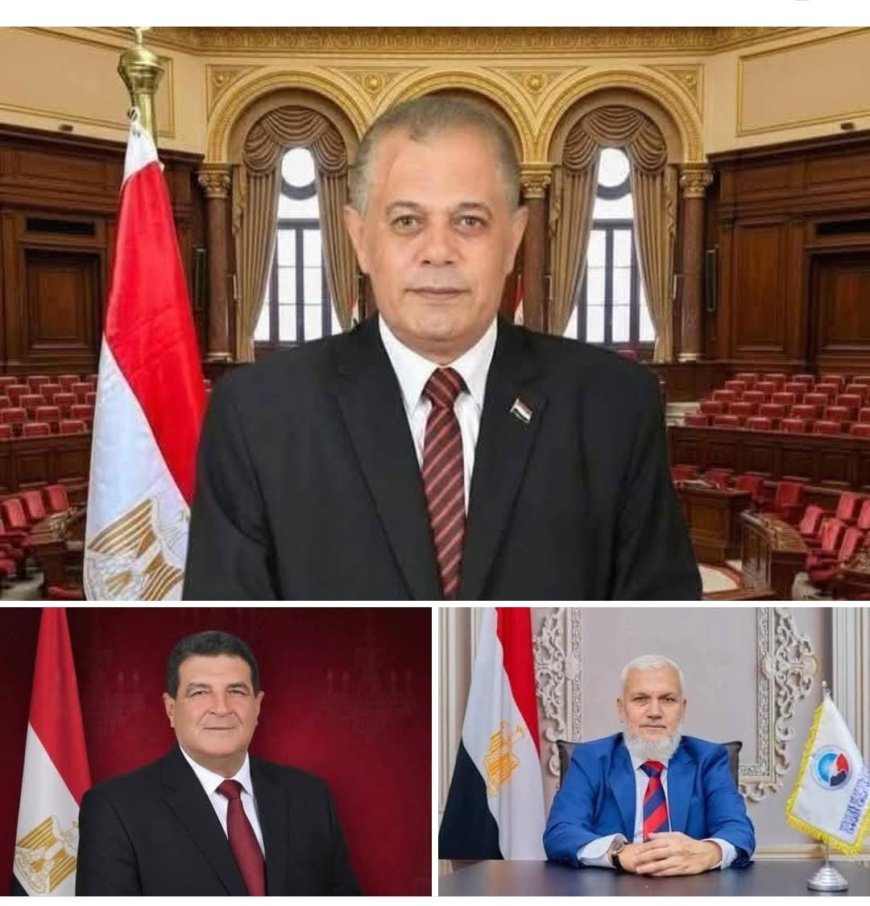 فوز عرابي وخليفة والقطان بمقاعد الدائرة الأولى بكفر الشيخ في جولة الإعادة لمجلس النواب  