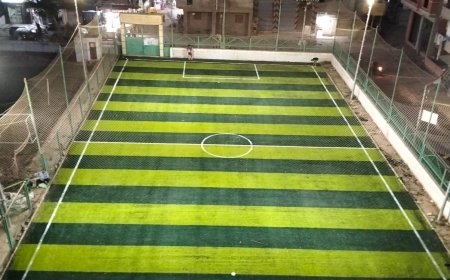 حصاد شباب كفر الشيخ فى 2025  ومستهدفات العام الجديد.. طفرة إنشائية غير مسبوقة 