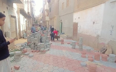 محافظ أسيوط: استمرار أعمال تركيب بلاط الإنترلوك بمدينة أبنوب ضمن الخطة الاستثمارية 2025-2026