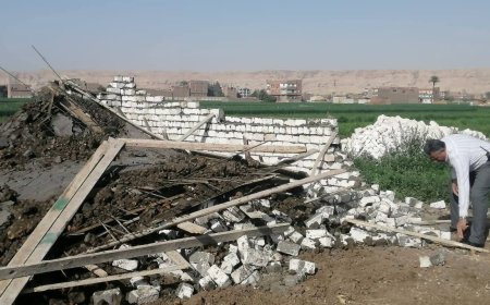 محافظ أسيوط: إزالة 23 حالة تعدي واسترداد 11 فدانًا و689 متر مباني ضمن الموجة 28 للازالات