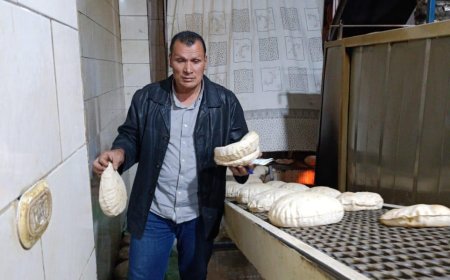 محافظ كفرالشيخ: تحرير 67 محضرًا لمخالفات تموينية وضبط 215 عبوة أدوية بيطرية وسلع متنوعة منتهية الصلاحية