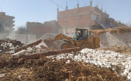 محافظ أسيوط: تنفيذ 15 حالة إزالة في 3 مراكز ضمن المرحلة الثانية من الموجة الـ28 لإزالة التعديات