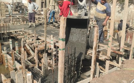 رياضة كفر الشيخ: تطوير البنية التحتية للهيئات الشبابية والرياضية يسهم في اكتشاف المواهب وتنمية قدرات الشباب 