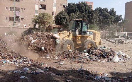 محافظ أسيوط: حملات مكثفة لرفع كفاءة منظومة النظافة بصدفا ترفع 119 طن مخلفات