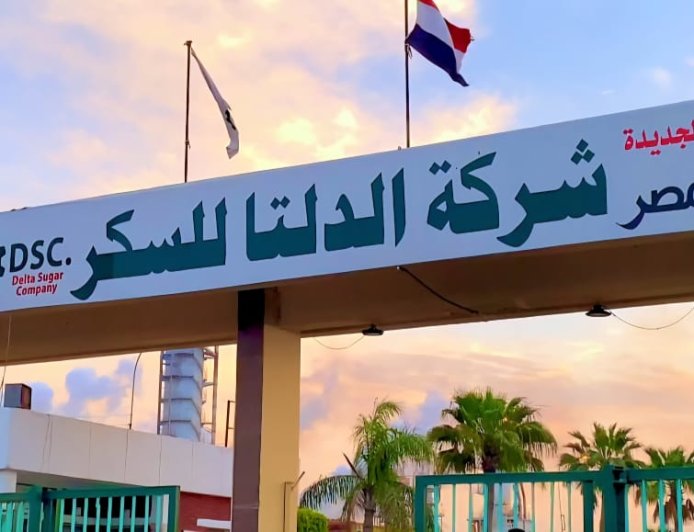 شركة الدلتا للسكر تعلن موعد بدء استلام محصول بنجر السكر لموسم 2026        