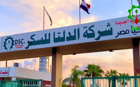 شركة الدلتا للسكر تطلق خدمة الاستعلام الإلكتروني لموردي البنجر لموسم 2025 / 2026 في عدد من المناطق كمرحلة تجريبية