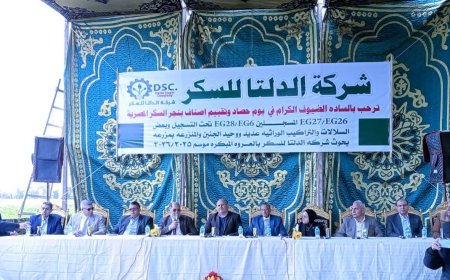 «من قلب مصانع الدلتا للسكر.. كفرالشيخ تحتفل بحصاد المستقبل وتقترب من الاكتفاء الذاتي»