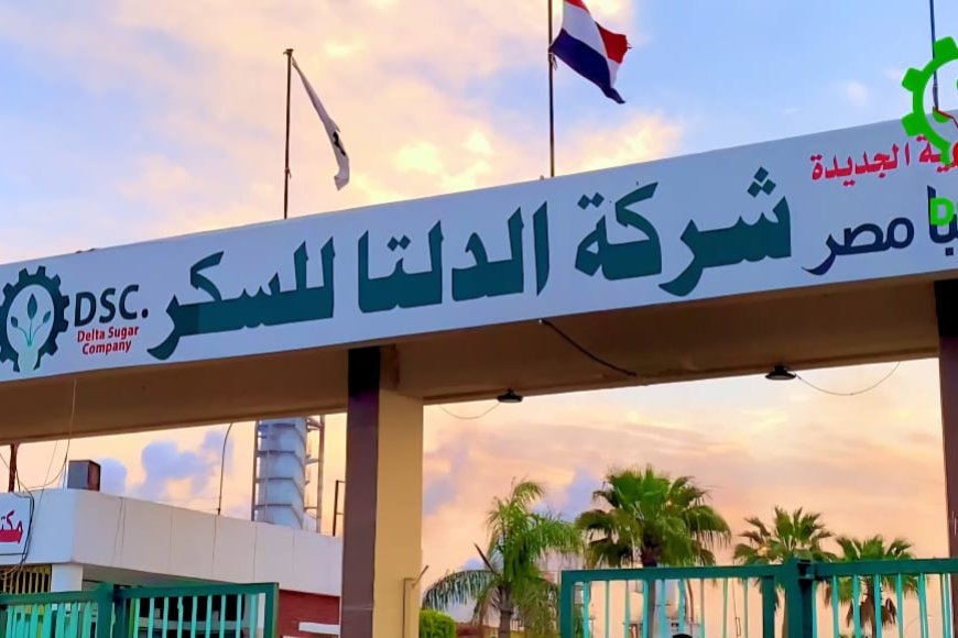 شركة الدلتا للسكر تطلق خدمة الاستعلام الإلكتروني لموردي البنجر لموسم 2025 / 2026 في عدد من المناطق كمرحلة تجريبية