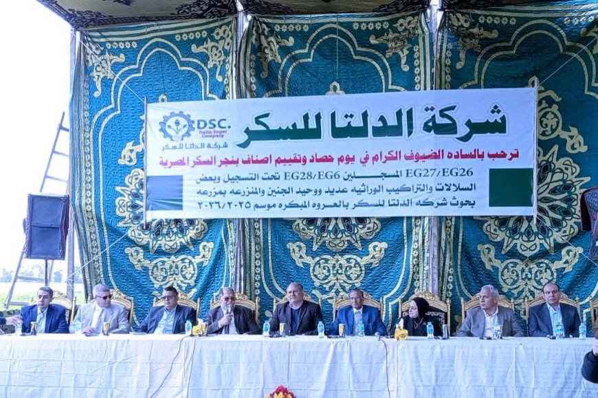 «من قلب مصانع الدلتا للسكر.. كفرالشيخ تحتفل بحصاد المستقبل وتقترب من الاكتفاء الذاتي»