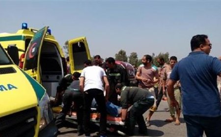 عقر جاموسة يصيب 8 أشخاص داخل منزل بالبلينا بسوهاج.. وتقديم المصل اللازم للمصابين