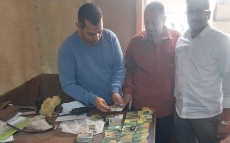 محافظ أسيوط: ضبط 604 بطاقات تموين وتحرير 22 محضرًا خلال حملة رقابية مكثفة بالقوصية