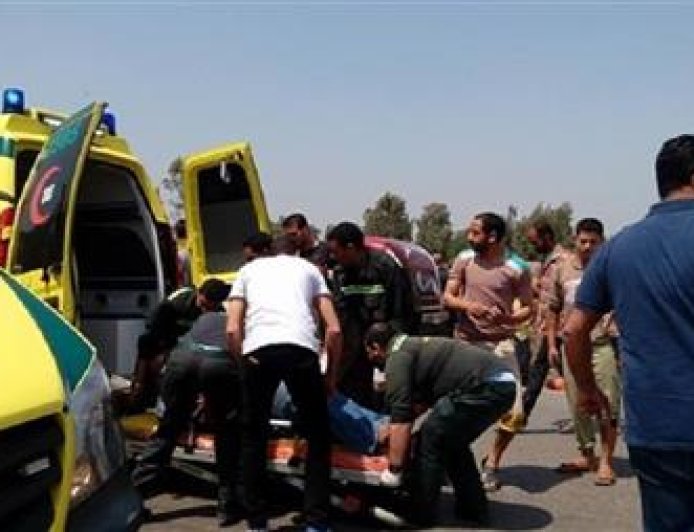 عقر ذئب يصيب شخصين بدار السلام بسوهاج.. وتحويلهما لتلقي المصل اللازم