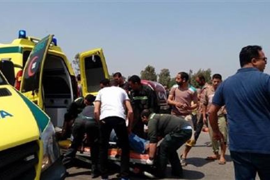 عقر ذئب يصيب شخصين بدار السلام بسوهاج.. وتحويلهما لتلقي المصل اللازم