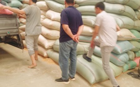 محافظ أسيوط: توريد 53 ألفًا و758 طن قمح إلى الصوامع والشون منذ بدء الموسم وحصاد ما يقرب من 45 ألف فدان حتى الآن