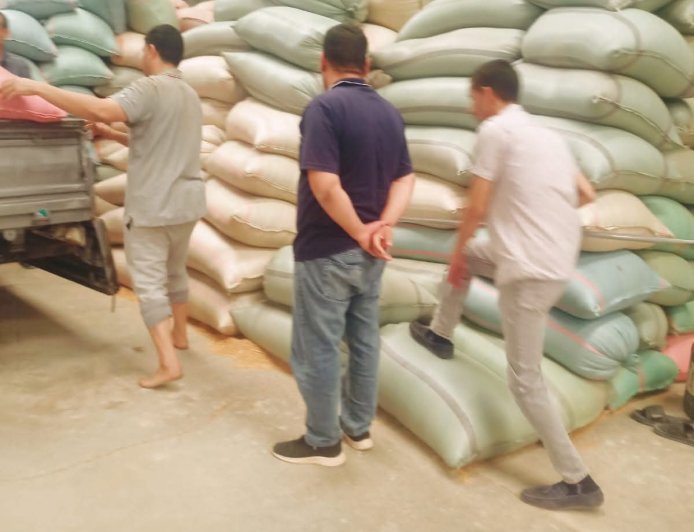 محافظ أسيوط: توريد 53 ألفًا و758 طن قمح إلى الصوامع والشون منذ بدء الموسم وحصاد ما يقرب من 45 ألف فدان حتى الآن