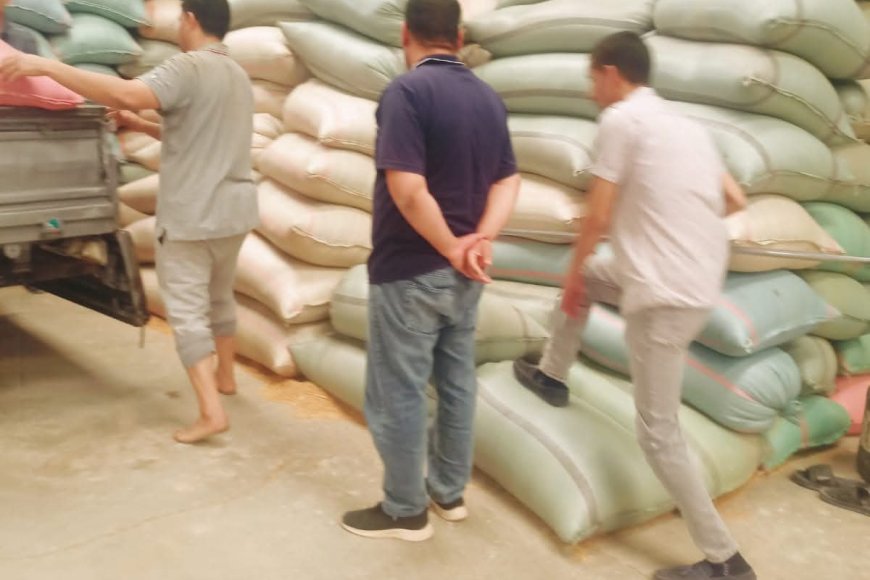 محافظ أسيوط: توريد 53 ألفًا و758 طن قمح إلى الصوامع والشون منذ بدء الموسم وحصاد ما يقرب من 45 ألف فدان حتى الآن