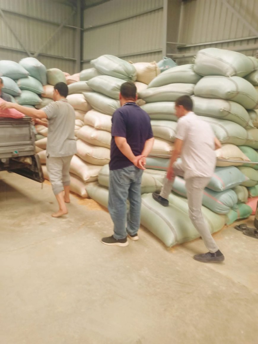 محافظ أسيوط: توريد 53 ألفًا و758 طن قمح إلى الصوامع والشون منذ بدء الموسم وحصاد ما يقرب من 45 ألف فدان حتى الآن